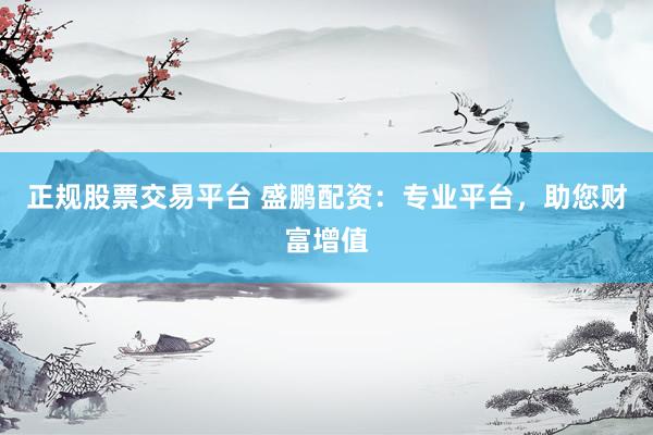 正规股票交易平台 盛鹏配资：专业平台，助您财富增值