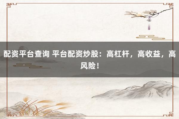 配资平台查询 平台配资炒股：高杠杆，高收益，高风险！