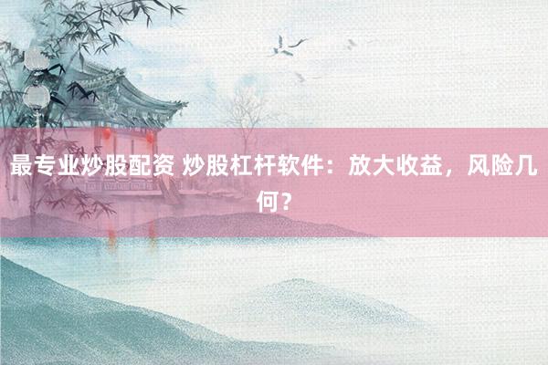 最专业炒股配资 炒股杠杆软件：放大收益，风险几何？