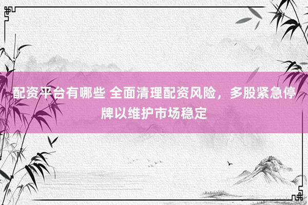 配资平台有哪些 全面清理配资风险，多股紧急停牌以维护市场稳定