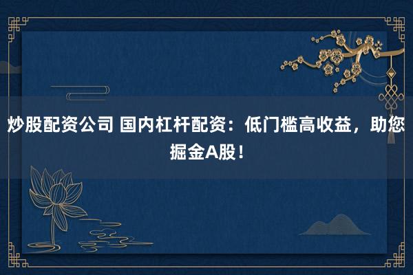 炒股配资公司 国内杠杆配资：低门槛高收益，助您掘金A股！