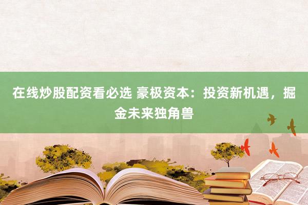 在线炒股配资看必选 豪极资本:投资新机遇,掘金未来独角兽