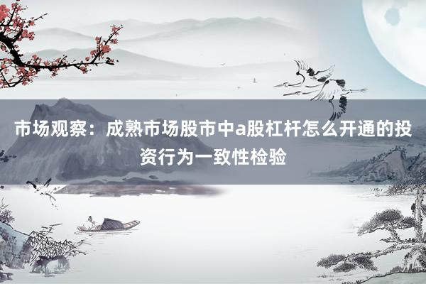 市场观察：成熟市场股市中a股杠杆怎么开通的投资行为一致性检验